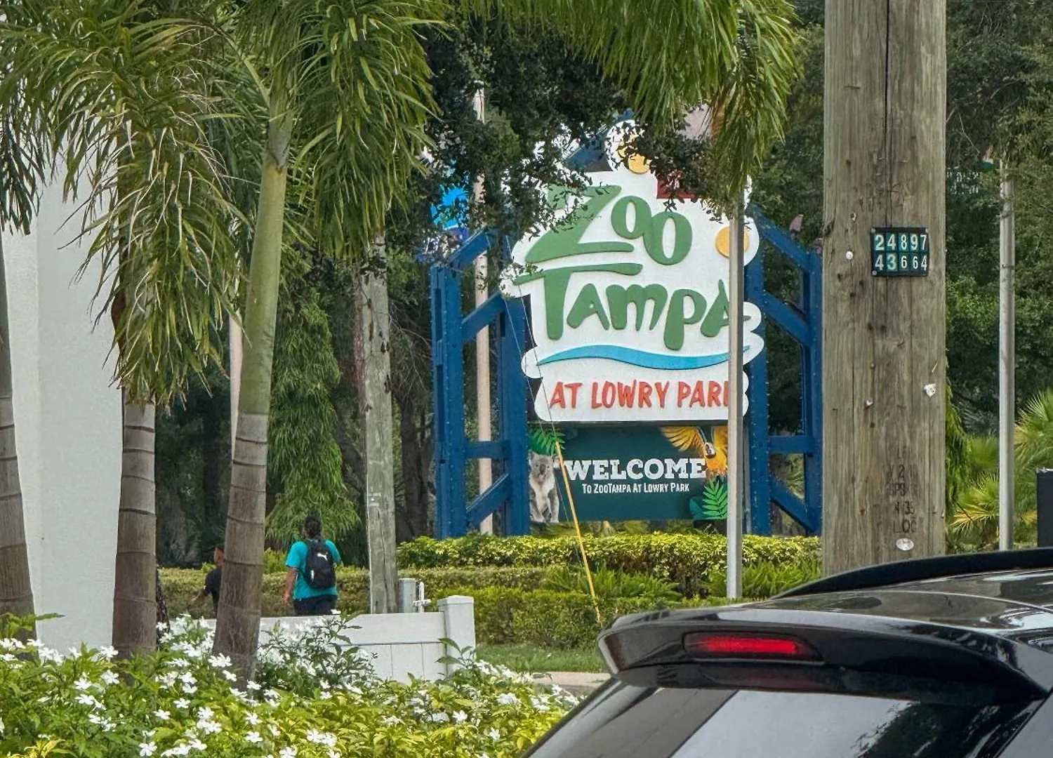 Zoo House Down Town Tampa Βίλα Ηνωμένες Πολιτείες της Αμερικής